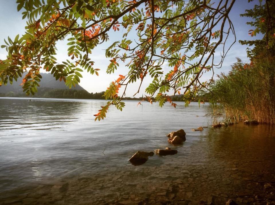 Apartmenthaus Der Johanneshof - Tolle Lage Nah Am See Шлірзе Екстер'єр фото
